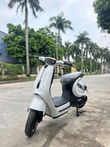 Xe Điện Sky-S TTFair Trắng Đen