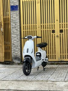 Xe Điện V1 TTFair Trắng Đen